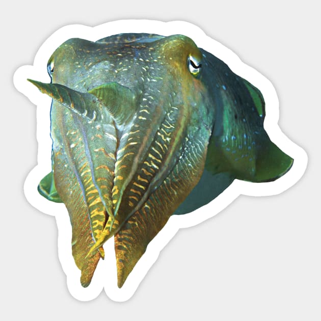 Octopus | Underwater Art iridescent sepia | Sticker by Ute-Niemann